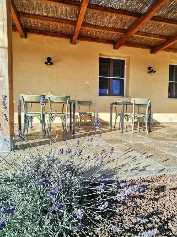 Casa Ricci * Magliano in Toscana