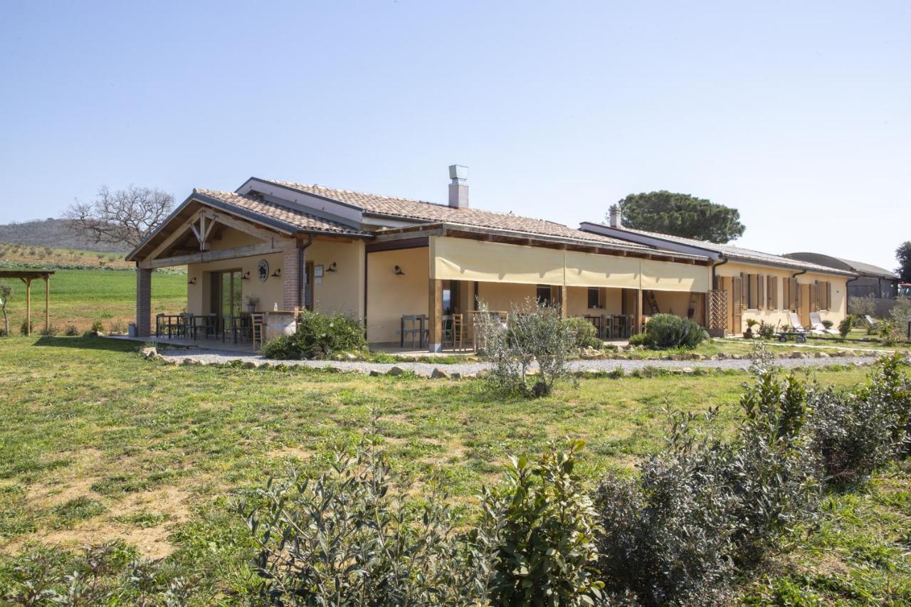 Casa Ricci Magliano in Toscana